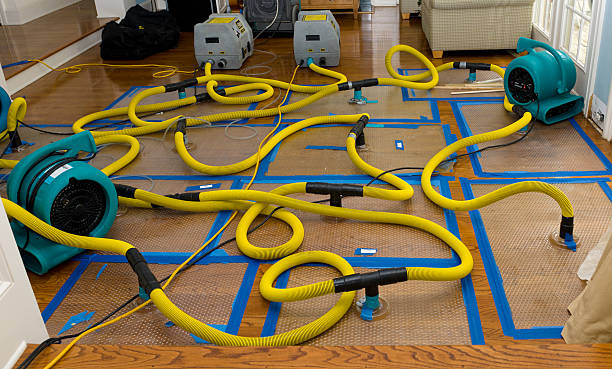 Professional Burst Pipe Water Damage technician working in Walworth, WI